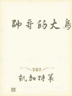 帅哥的大鸟