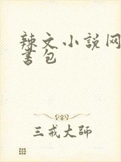 辣文小说网第二书包