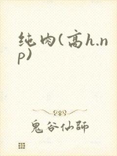 纯肉(高h.np)