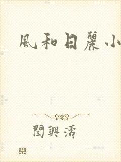 风和日丽小说