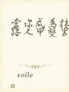 当你成为抹布文路人甲双男主