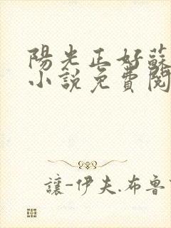 阳光正好苏玥玥小说免费阅读无弹窗