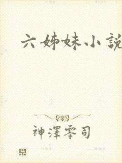 六姊妹小说