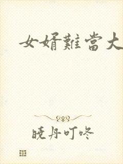 女婿难当大结局