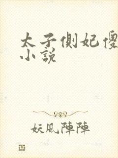 太子侧妃傻乎乎小说