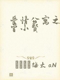 爱情公寓之极品曾小贤