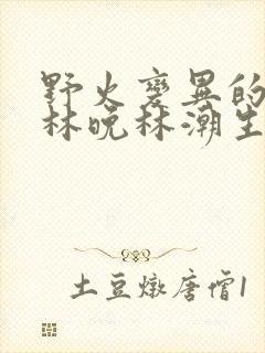 野火变异的父爱林晚林潮生