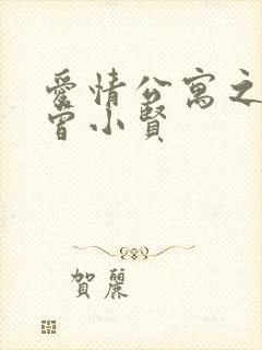 爱情公寓之极品曾小贤