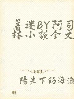 着迷BY阿司匹林小说全文免费阅读