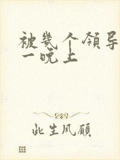 被几个领导玩弄一晚上