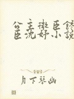 公主微臣馋了微臣沈妤小说