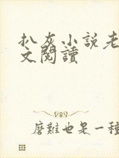 扒灰小说老马全文阅读