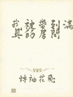 我被带到满是玩具的房间