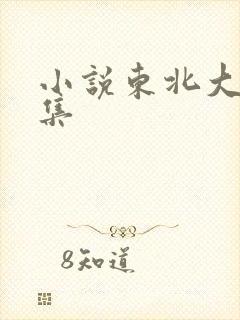 小说东北大炕全集