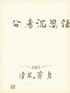 公考沉思录