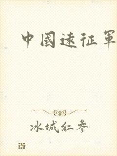中国远征军小说