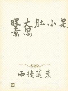 眼大肚小是什么意思