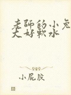 老师的小兔子好大好软水