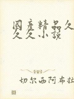 国产精品久久久久久小说