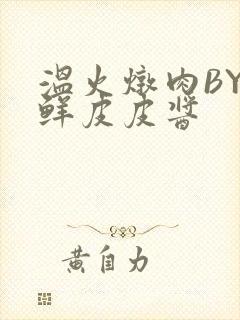 温火炖肉BY海鲜皮皮酱