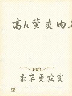高h荤爽肉欲文