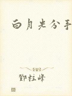 白月光分手日常
