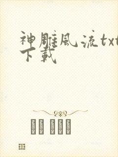 神雕风流txt下载