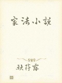 家法小说