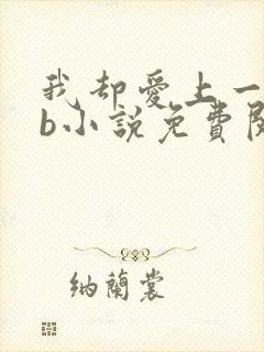 我却爱上一个sb小说免费阅读无弹窗