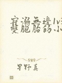 宠溺无边1v3双胞胎的小说