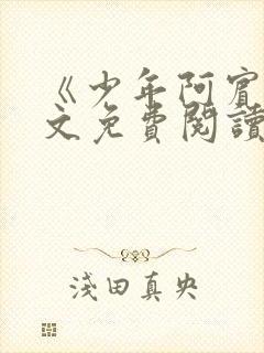 《少年阿宾》全文免费阅读