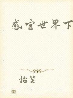 感官世界下载