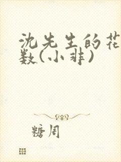 沈先生的花式调数(小非)