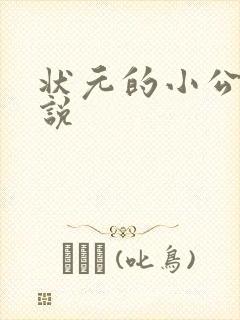 状元的小公主小说