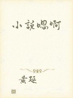 小说嗯啊