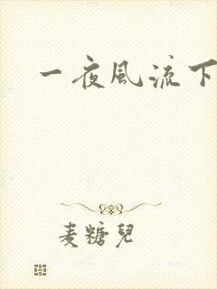 一夜风流下载