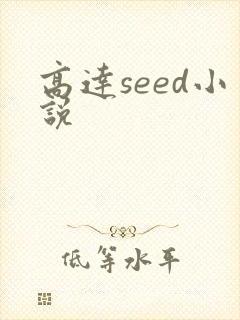 高达seed小说
