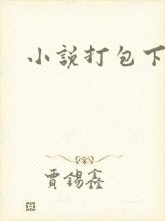 小说打包下载