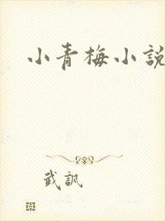 小青梅小说