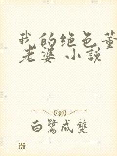 我的绝色董事长老婆 小说