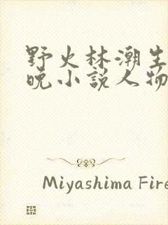 野火林潮生林晚晚小说人物野火