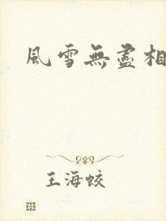 风雪无尽相思情