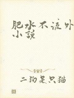 肥水不流外人田小说