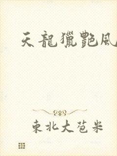 天龙猎艳风流