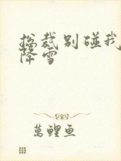 总裁别碰我 韩降雪