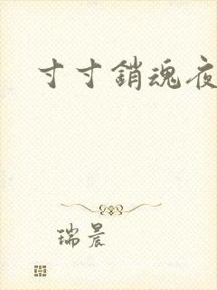 寸寸销魂夜春光