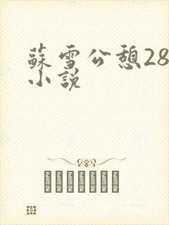 苏雪公憩28篇小说