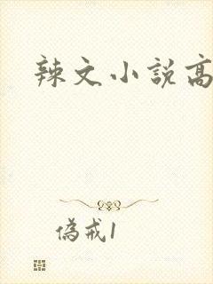 辣文小说高h