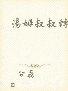 汤姆叔叔转接口