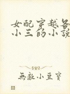 女配穿越各个做小三的小说